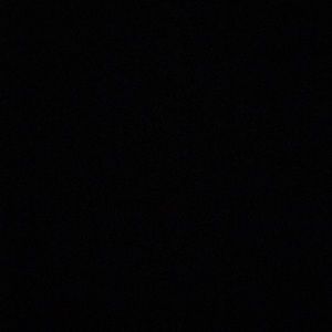 Meet your Posher, Logan